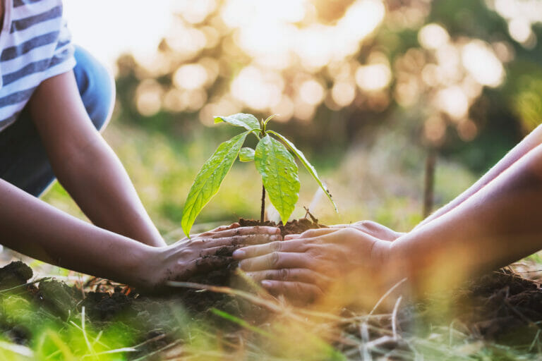 mother with children helping planting tree in nature for save ea